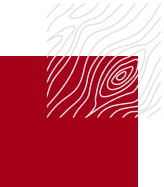 Red woodgrain graphic used as a brand accent for Brewster Mountain Lodge